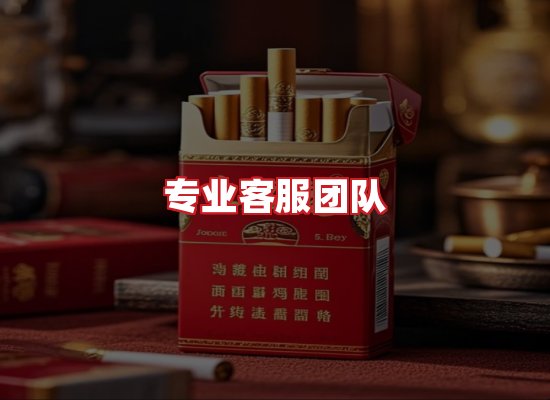 专业团队